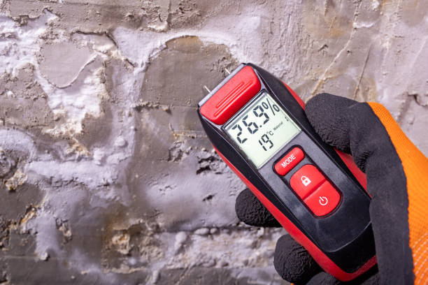 Best Local Mold Removal Service  in Toftrees, PA