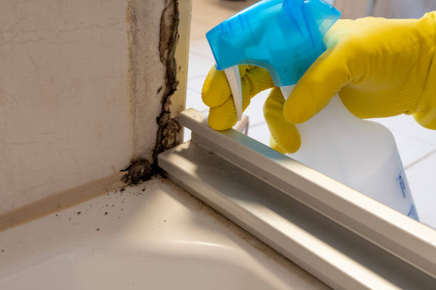 Best Crawl Space Mold Removal  in Toftrees, PA