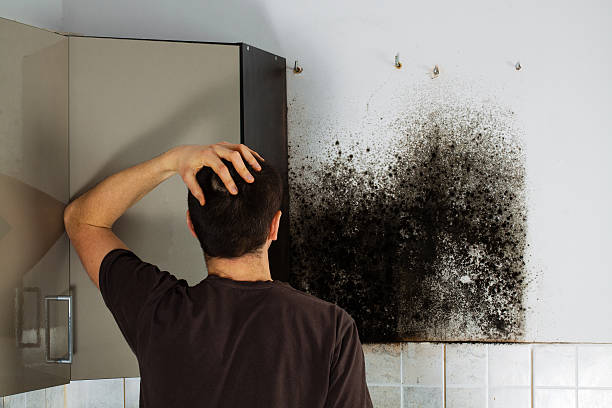 Best Attic Mold Removal  in Toftrees, PA